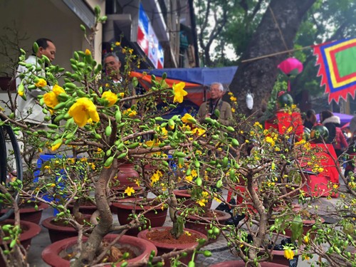 Hang Luoc Flower Market in Hanoi's Old Quarter - ảnh 8